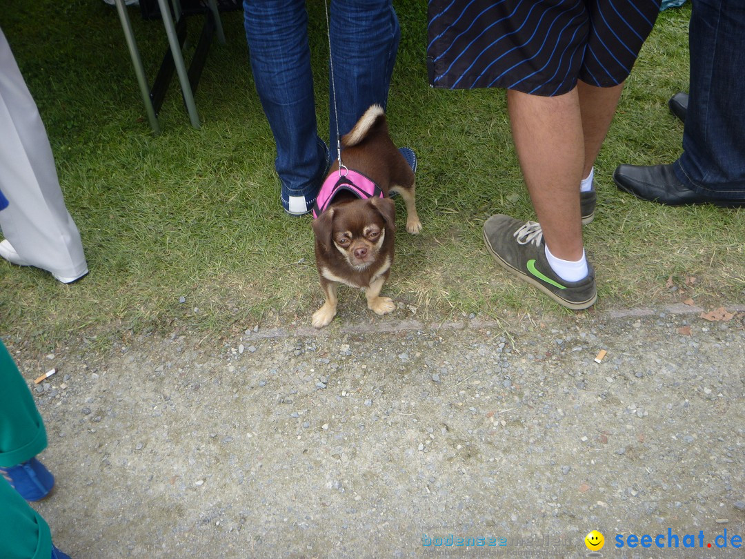 Hafenfest mit Flohmarkt: Ludwigshafen am Bodensee, 30.06.2013