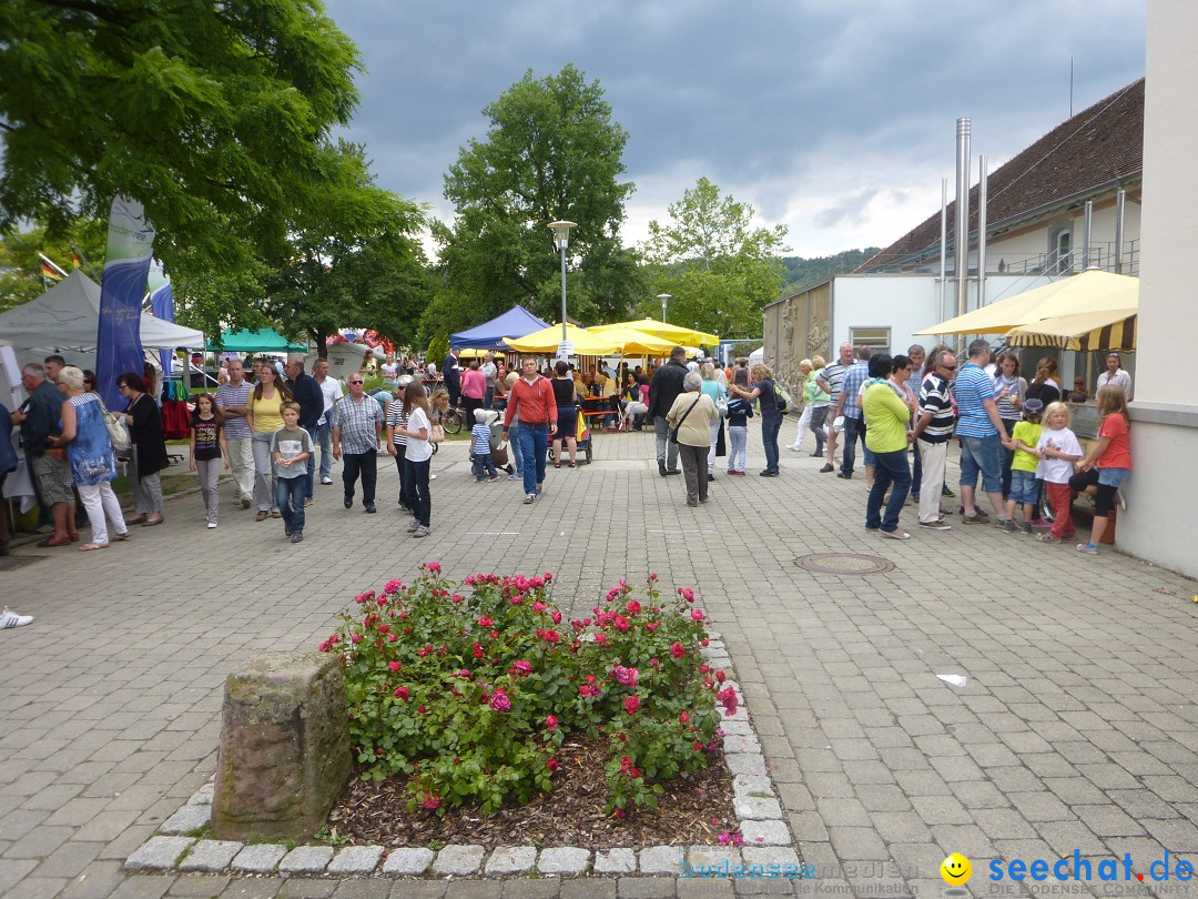 Hafenfest mit Flohmarkt: Ludwigshafen am Bodensee, 30.06.2013