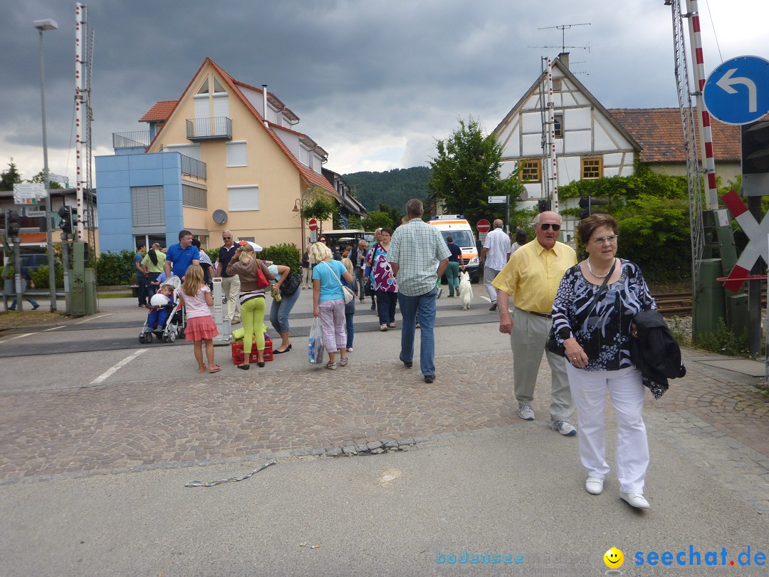 Hafenfest mit Flohmarkt: Ludwigshafen am Bodensee, 30.06.2013