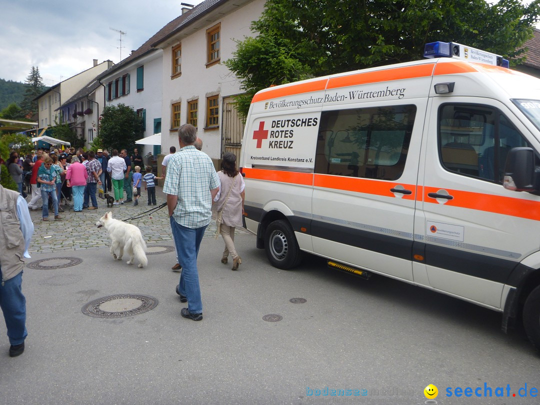 Hafenfest mit Flohmarkt: Ludwigshafen am Bodensee, 30.06.2013