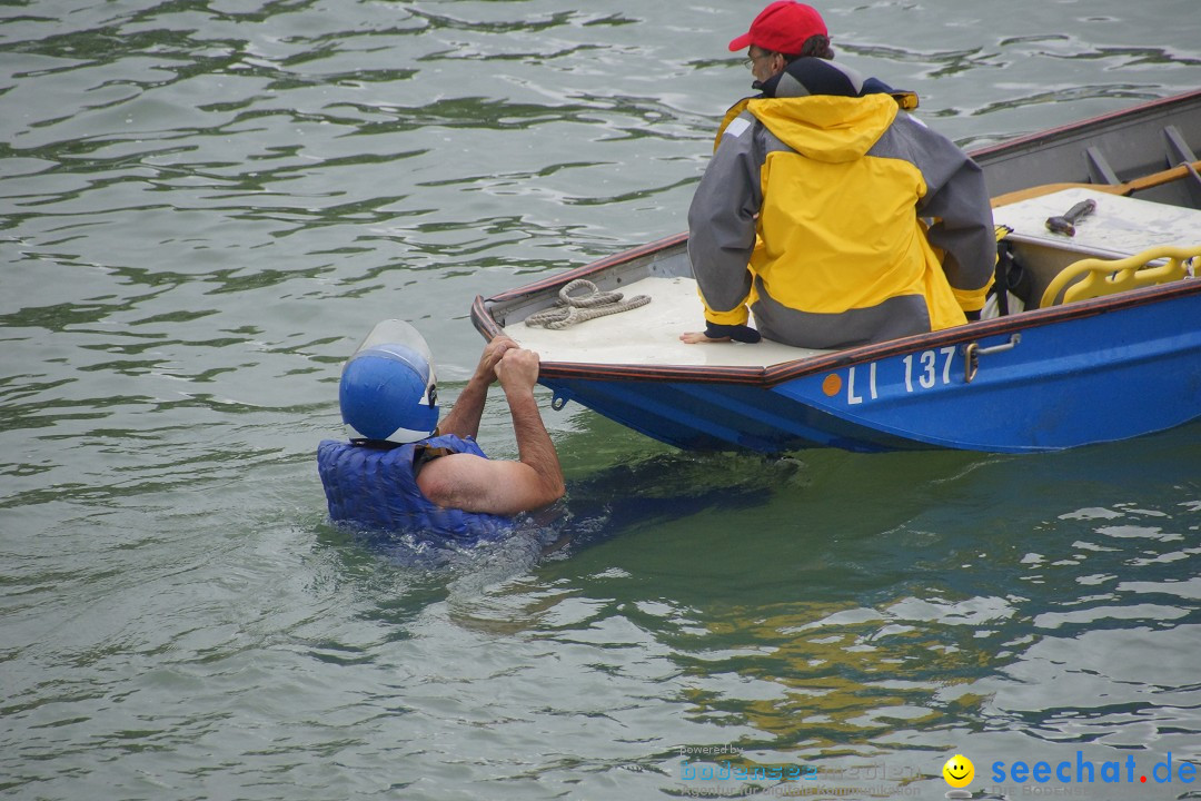 7. Internationale Seehafenfliegen by seechat: BODENS.EE: Lindau, 29.06.2013