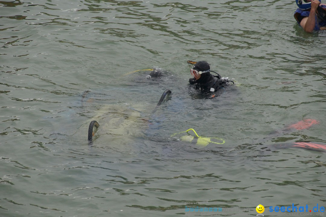 7. Internationale Seehafenfliegen by seechat: BODENS.EE: Lindau, 29.06.2013