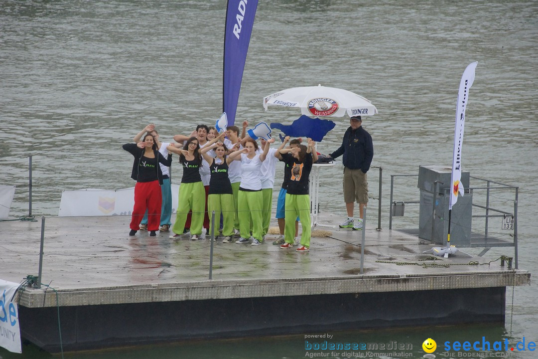 7. Internationale Seehafenfliegen by seechat: BODENS.EE: Lindau, 29.06.2013