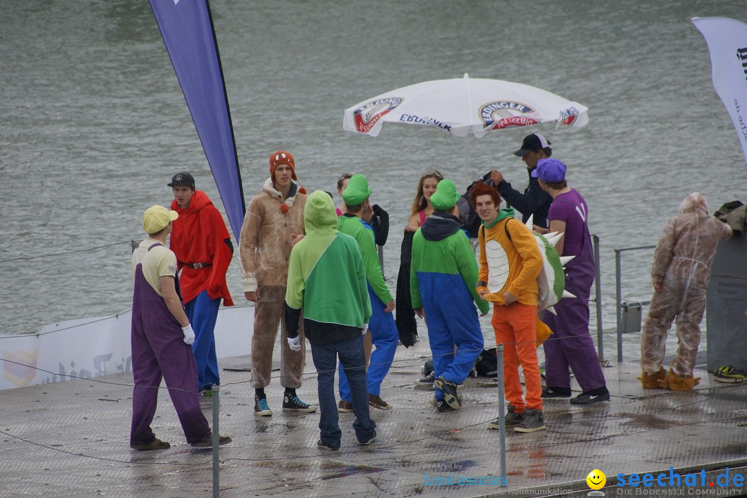 7. Internationale Seehafenfliegen by seechat: BODENS.EE: Lindau, 29.06.2013