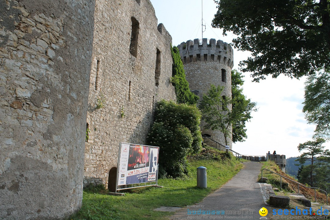 Mrs. Greenbird - Honberg: Tuttlingen am Bodensee, 12.07.2013