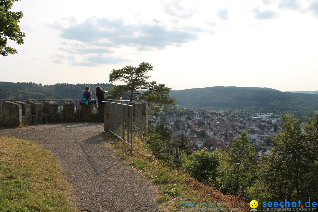 Mrs. Greenbird - Honberg: Tuttlingen am Bodensee, 12.07.2013