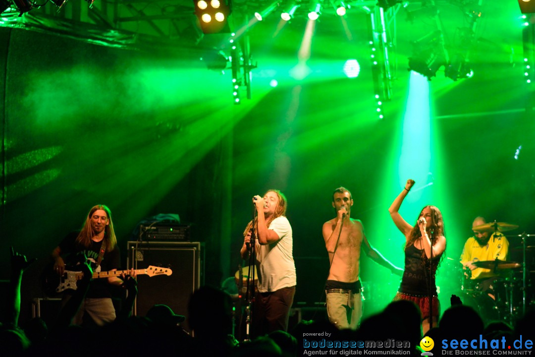 Rock im Vogelwald: Laimnau am Bodensee, 12.07.2013