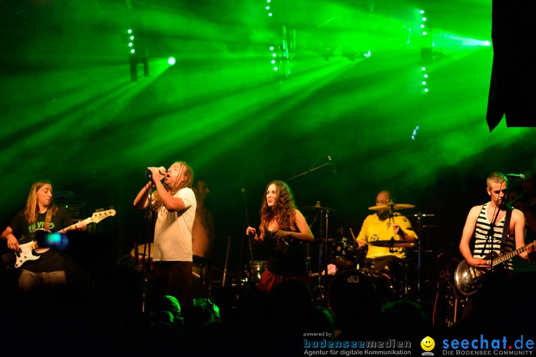 Rock im Vogelwald: Laimnau am Bodensee, 12.07.2013