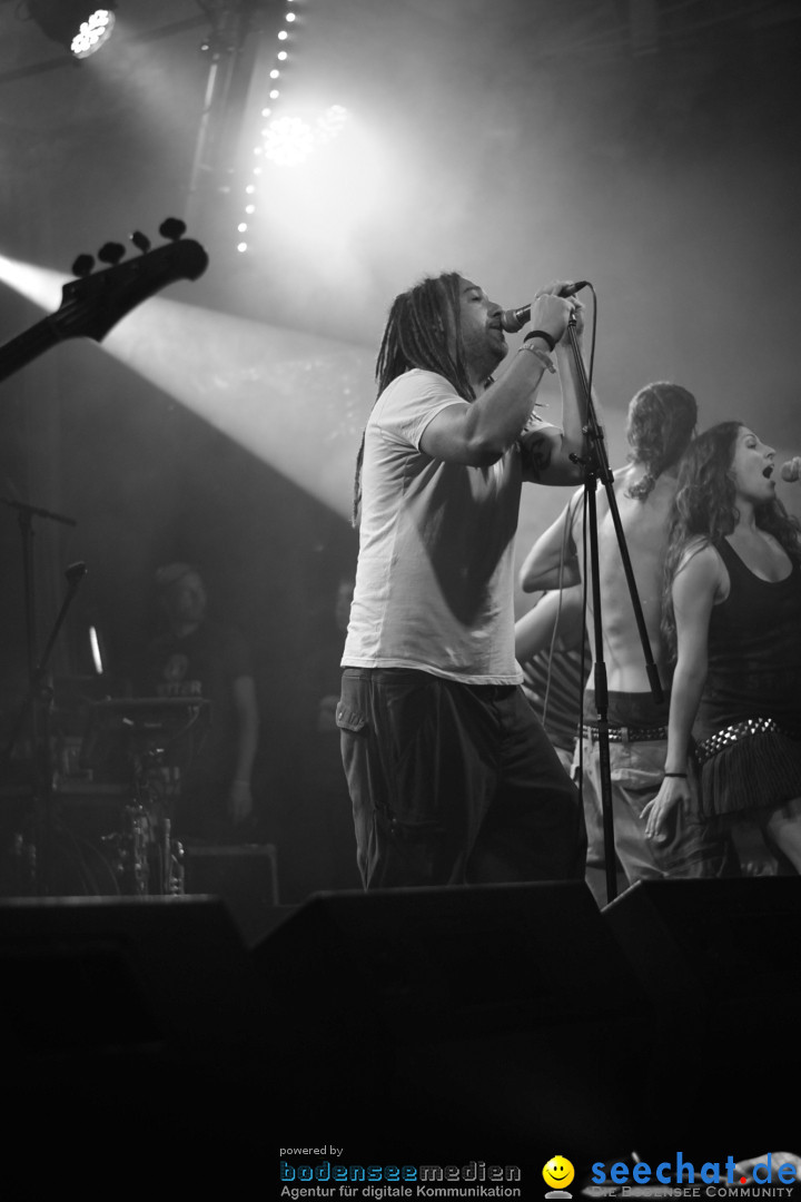 Rock im Vogelwald: Laimnau am Bodensee, 12.07.2013