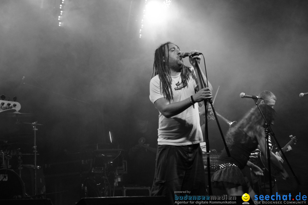 Rock im Vogelwald: Laimnau am Bodensee, 12.07.2013