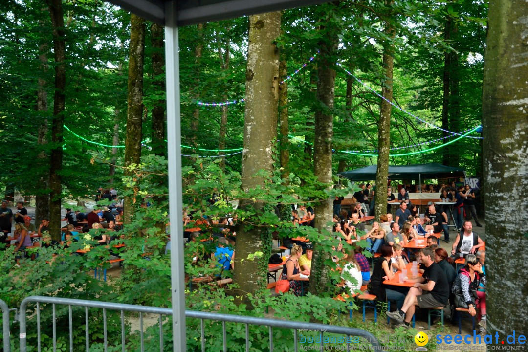 Rock im Vogelwald: Laimnau am Bodensee, 12.07.2013