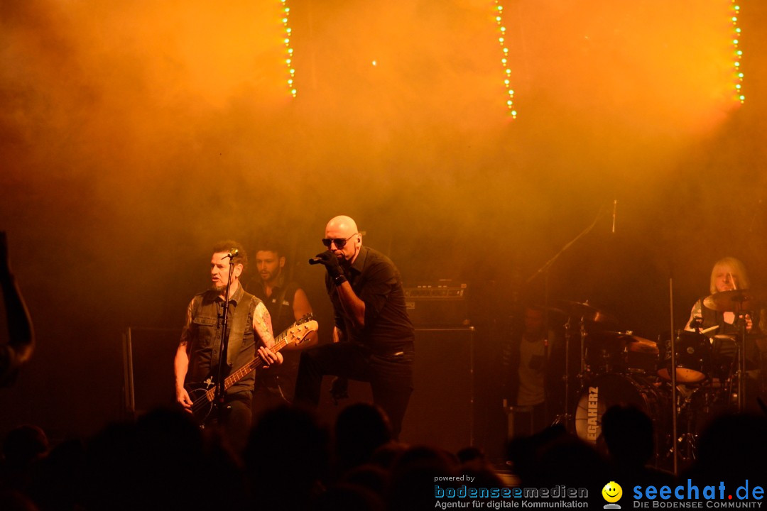 Rock im Vogelwald: Laimnau am Bodensee, 12.07.2013