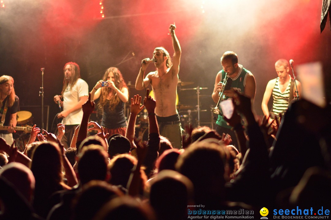 Rock im Vogelwald: Laimnau am Bodensee, 12.07.2013