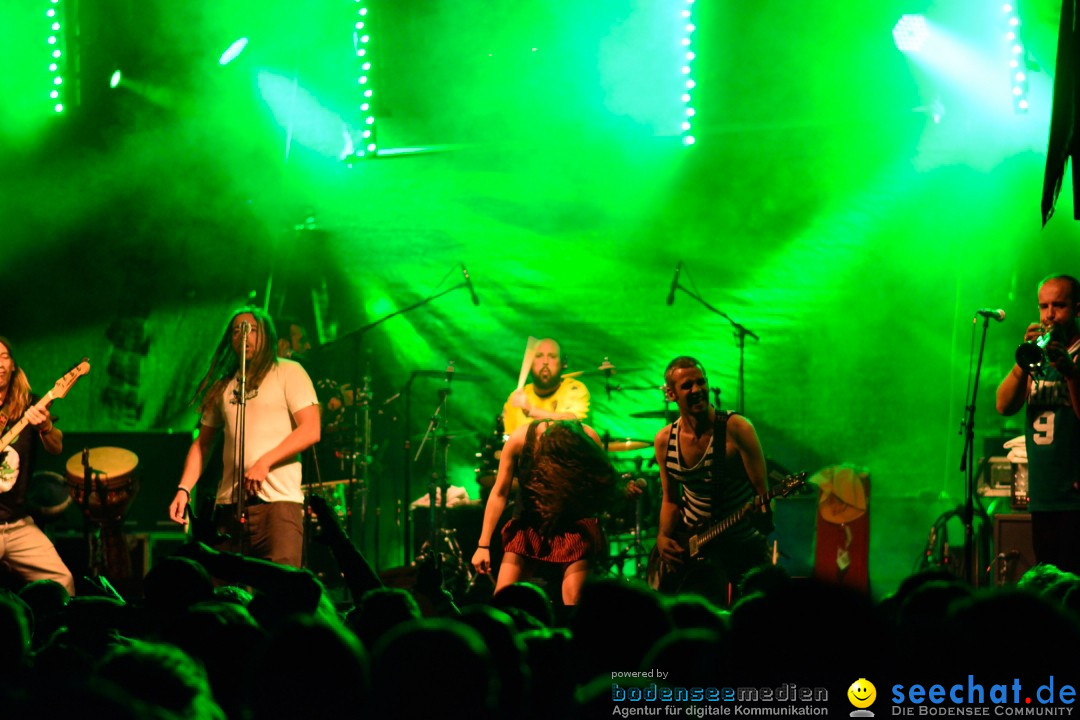 Rock im Vogelwald: Laimnau am Bodensee, 12.07.2013