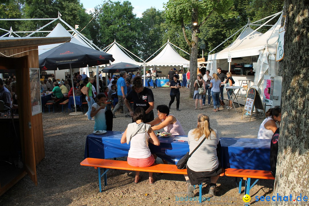 Stefanie Heinzmann: Honbergsommer - Tuttlingen, 18.07.2013