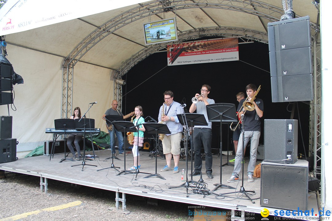 Stefanie Heinzmann: Honbergsommer - Tuttlingen, 18.07.2013