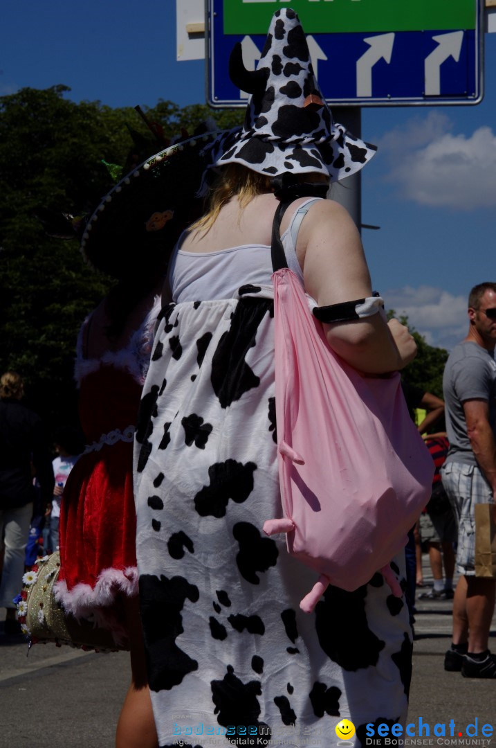 Streetparade-Zuerich-10082013-Bodensee-Community-Seechat-DE_18.JPG