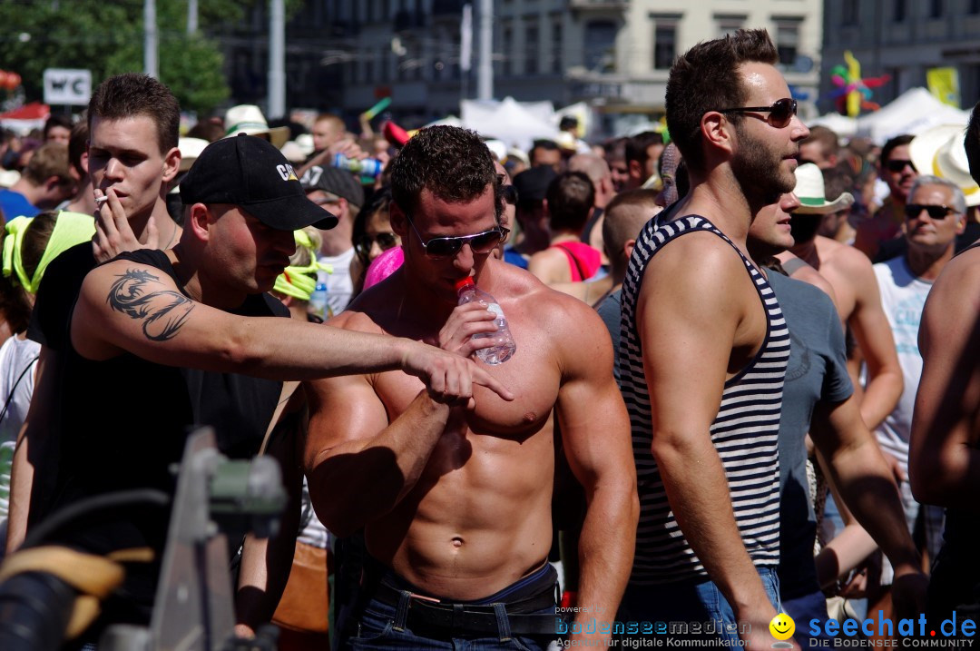 Streetparade-Zuerich-10082013-Bodensee-Community-Seechat-DE_2871.jpg