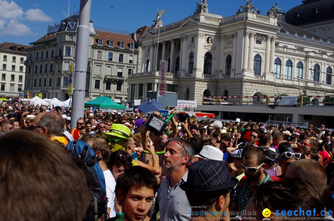 Streetparade-Zuerich-10082013-Bodensee-Community-Seechat-DE_362.JPG