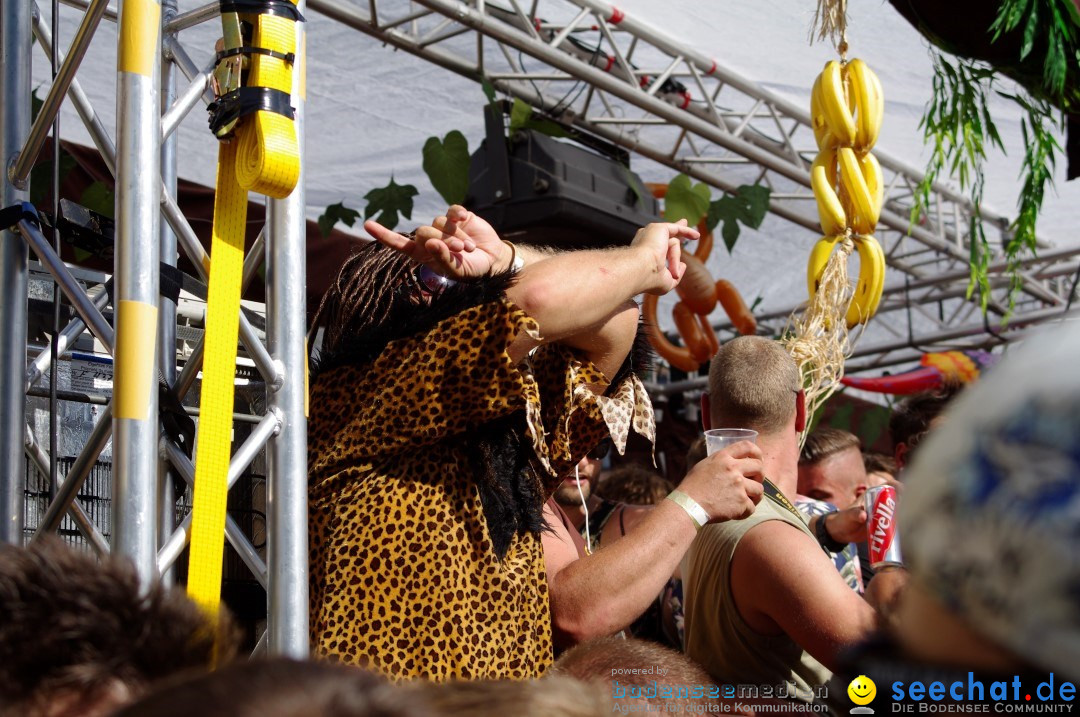 Streetparade-Zuerich-10082013-Bodensee-Community-Seechat-DE_5451.jpg