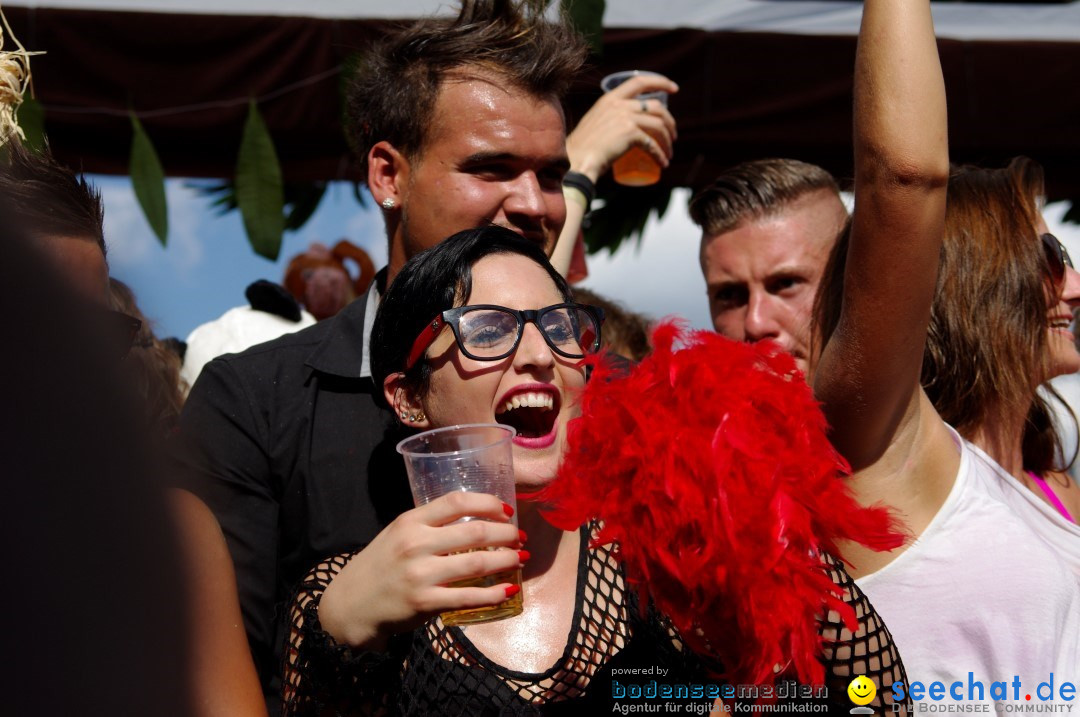 Streetparade-Zuerich-10082013-Bodensee-Community-Seechat-DE_548.jpg