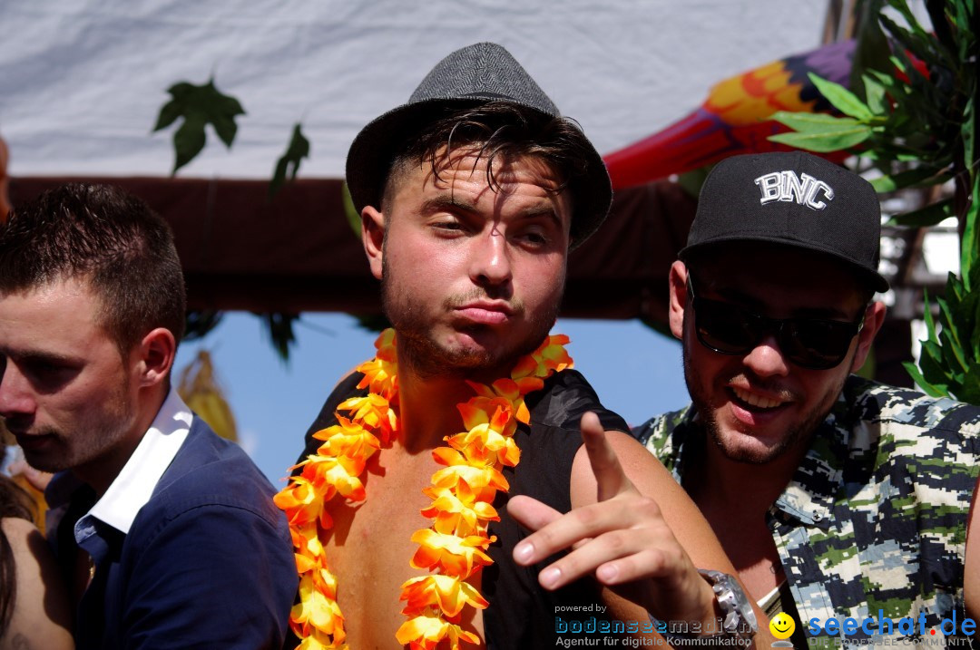 Streetparade-Zuerich-10082013-Bodensee-Community-Seechat-DE_554.JPG