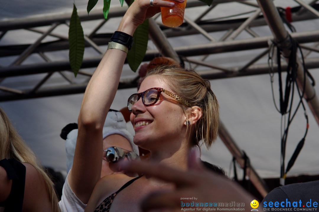 Streetparade-Zuerich-10082013-Bodensee-Community-Seechat-DE_5641.jpg