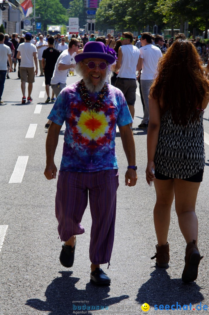 Streetparade-Zuerich-10082013-Bodensee-Community-Seechat-DE_7.JPG