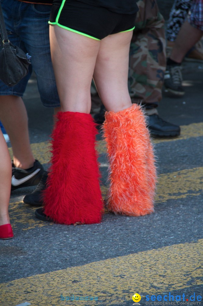 Streetparade-Zuerich-10082013-Bodensee-Community-Seechat-DE_145.JPG