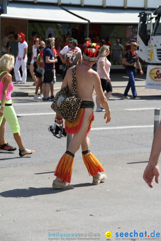 Streetparade-Zuerich-10082013-Bodensee-Community-Seechat-DE_2081.jpg