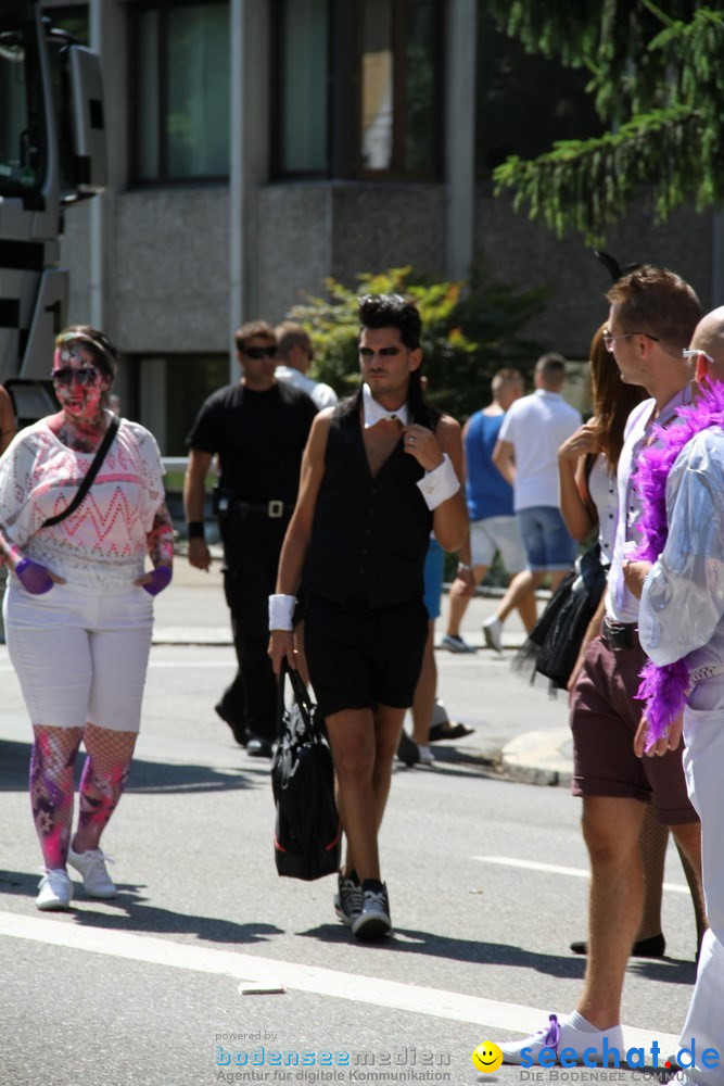 Streetparade-Zuerich-10082013-Bodensee-Community-Seechat-DE_2521.jpg