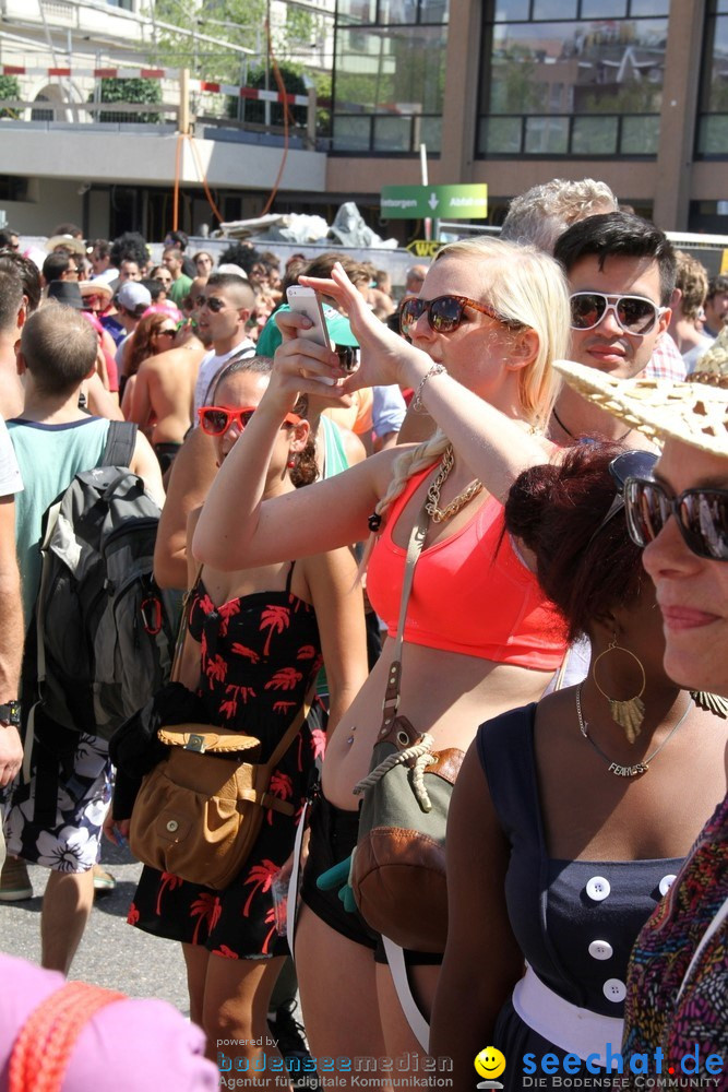 Streetparade-Zuerich-10082013-Bodensee-Community-Seechat-DE_250.JPG