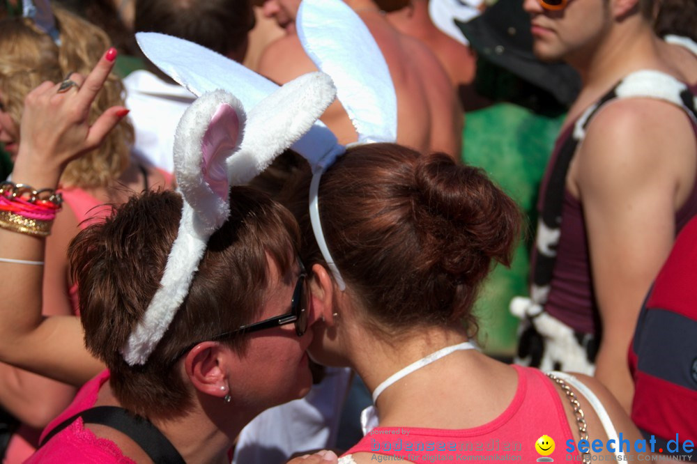 Streetparade-Zuerich-10082013-Bodensee-Community-Seechat-DE_598.jpg