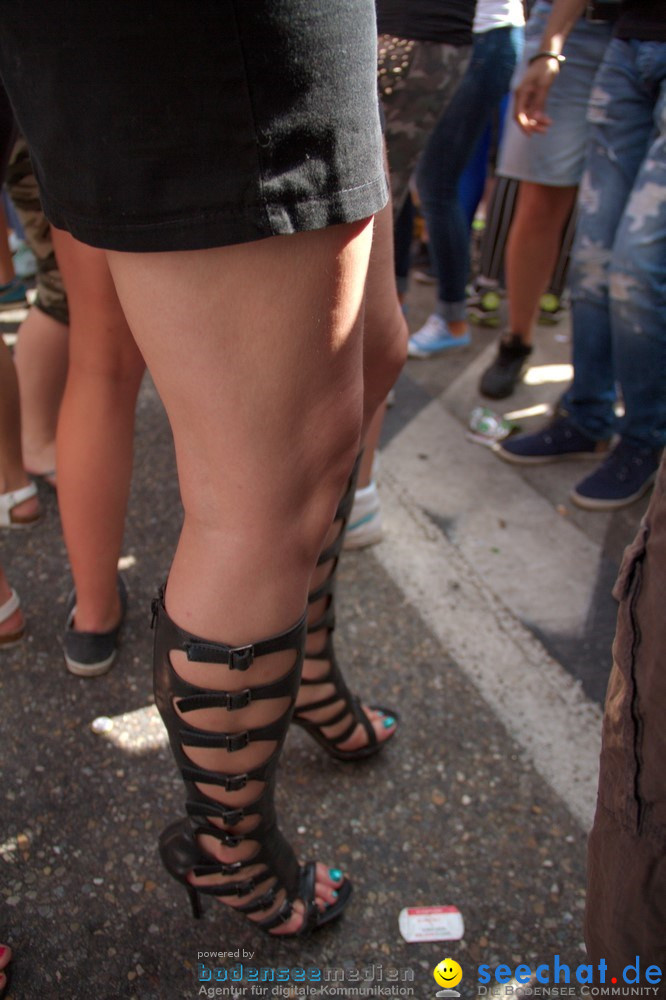 Streetparade-Zuerich-10082013-Bodensee-Community-Seechat-DE_725.jpg