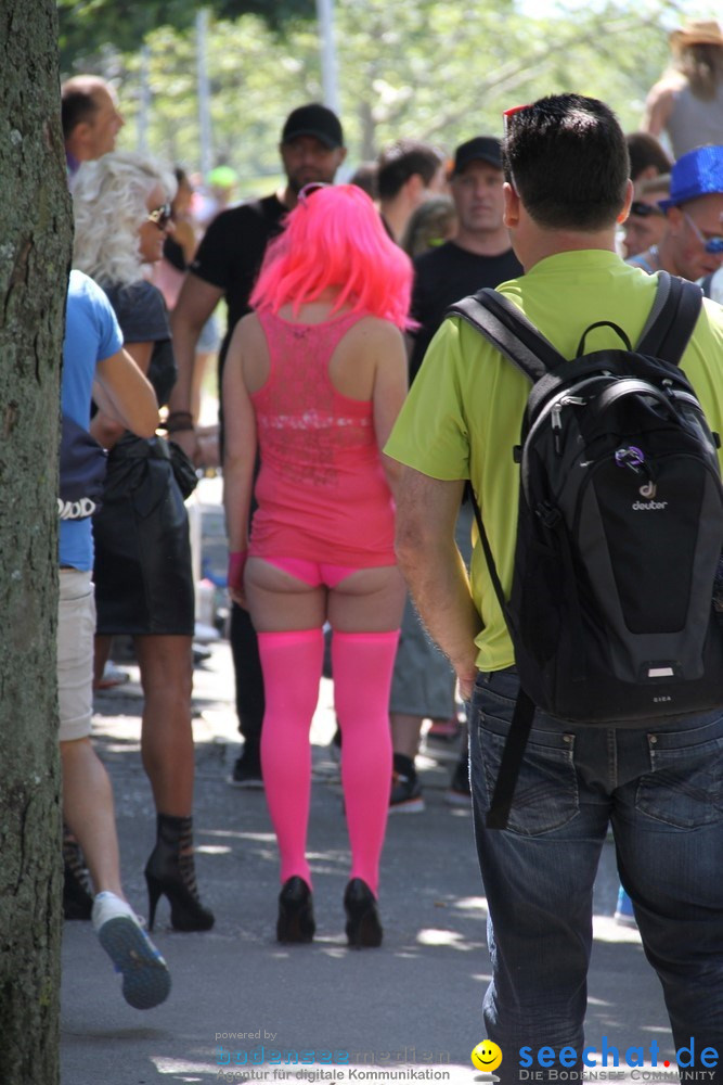 Streetparade-Zuerich-10082013-Bodensee-Community-Seechat-DE_799.jpg