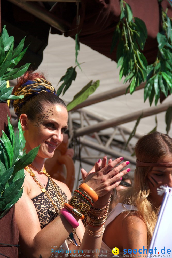 Streetparade-Zuerich-10082013-Bodensee-Community-Seechat-DE_841.jpg