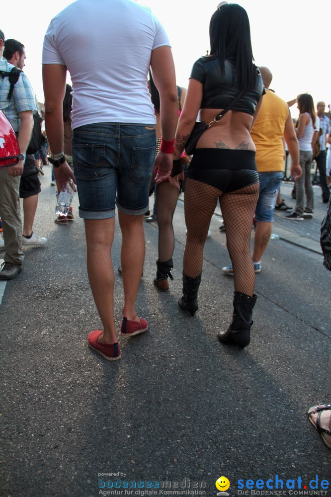 Streetparade-Zuerich-10082013-Bodensee-Community-Seechat-DE_854.jpg