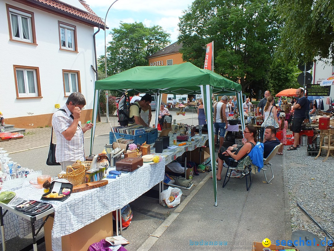 Schloss- und Kinderfest by seechat: Aulendorf, 17.08.2013