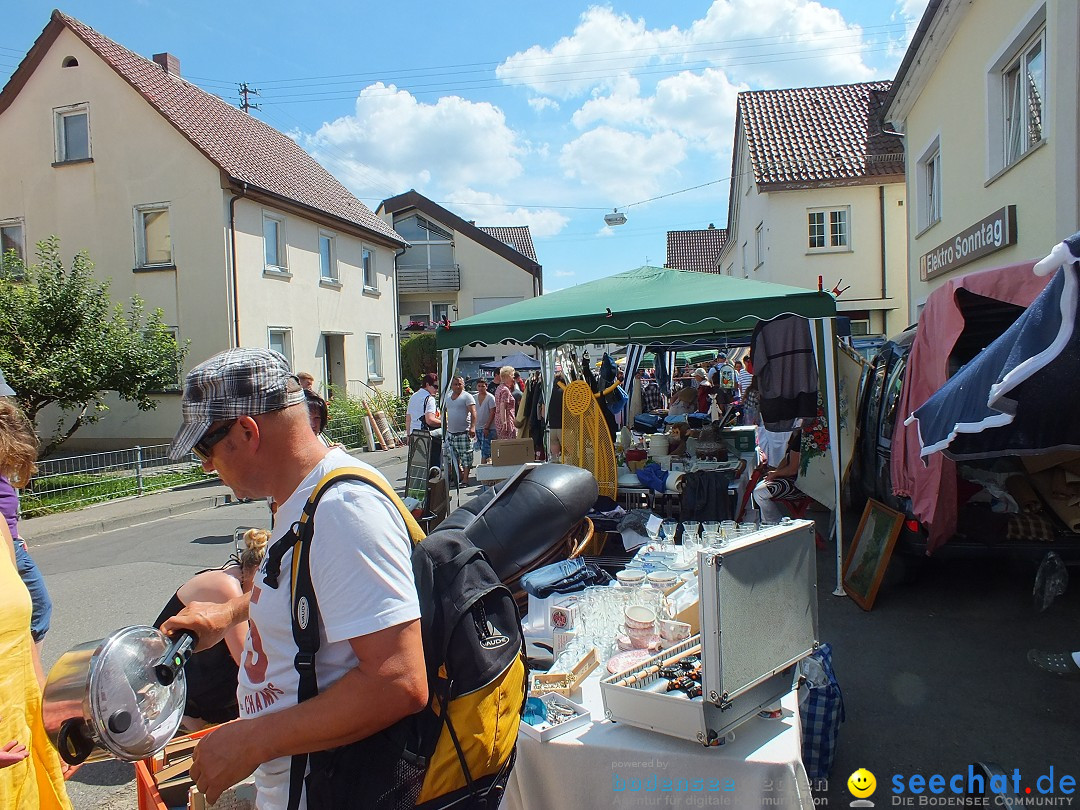 Schloss- und Kinderfest by seechat: Aulendorf, 17.08.2013