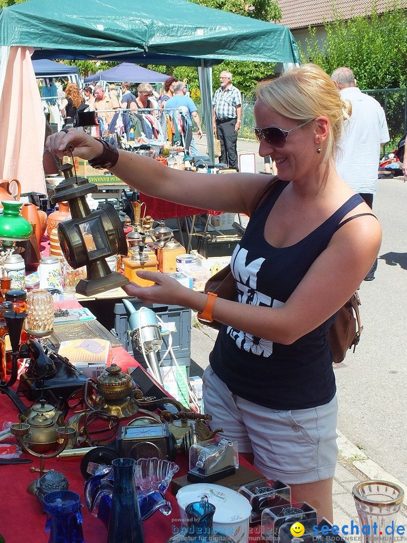 Schloss- und Kinderfest by seechat: Aulendorf, 17.08.2013