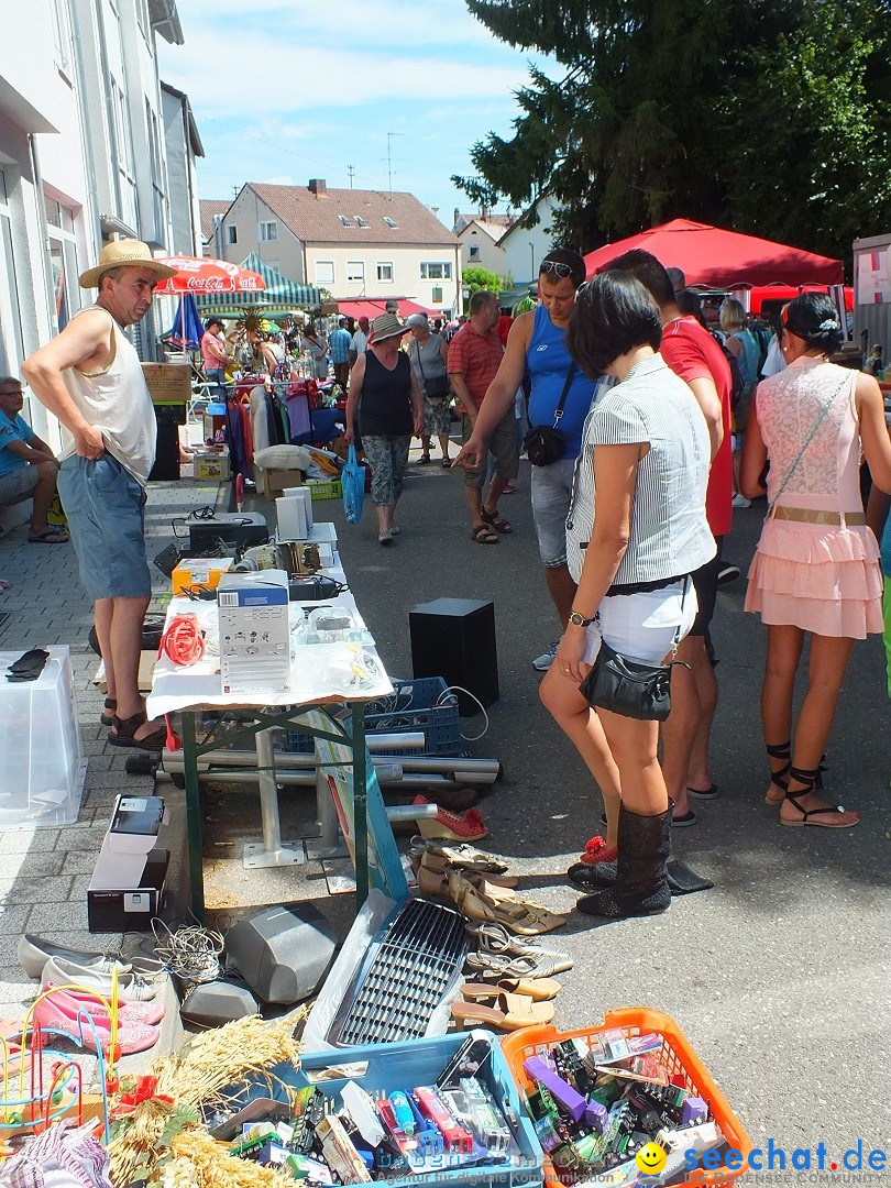 Schloss- und Kinderfest by seechat: Aulendorf, 17.08.2013