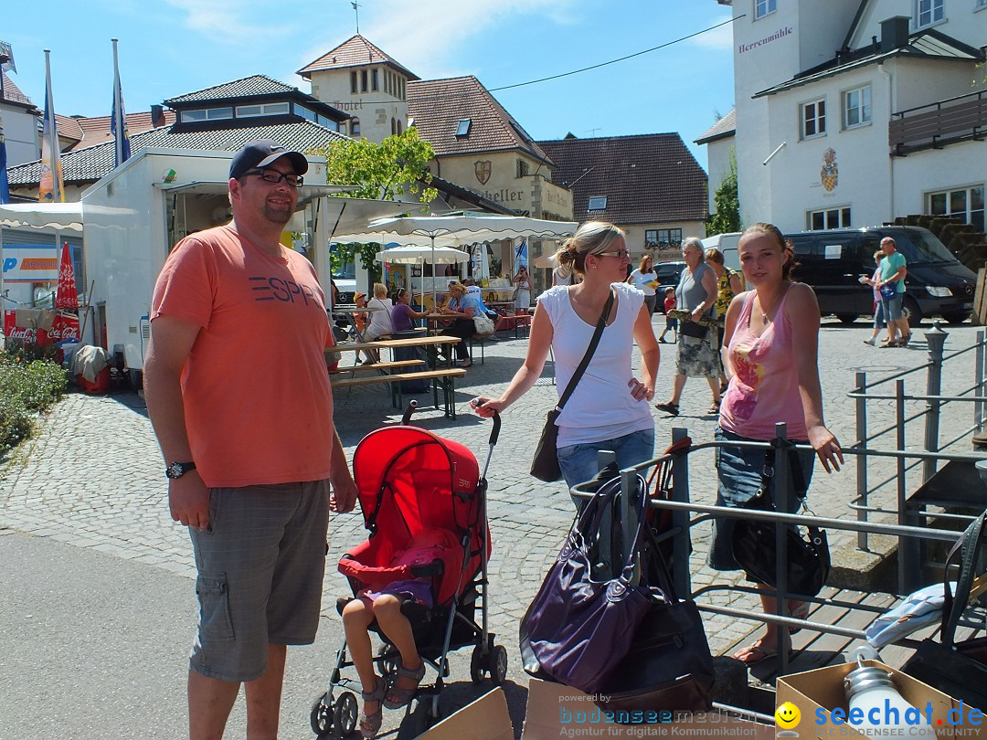 Schloss- und Kinderfest by seechat: Aulendorf, 17.08.2013