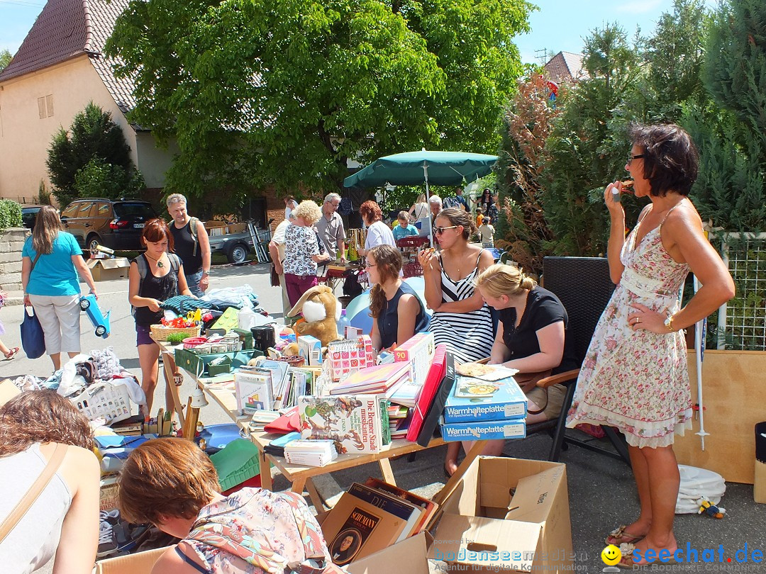 Schloss- und Kinderfest by seechat: Aulendorf, 17.08.2013