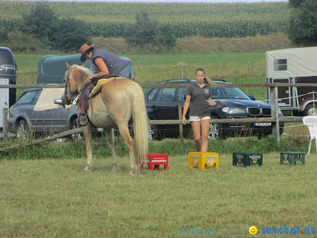 Westernreiter D-Turnier: Aach-Linz am Bodensee, 18.08.2013