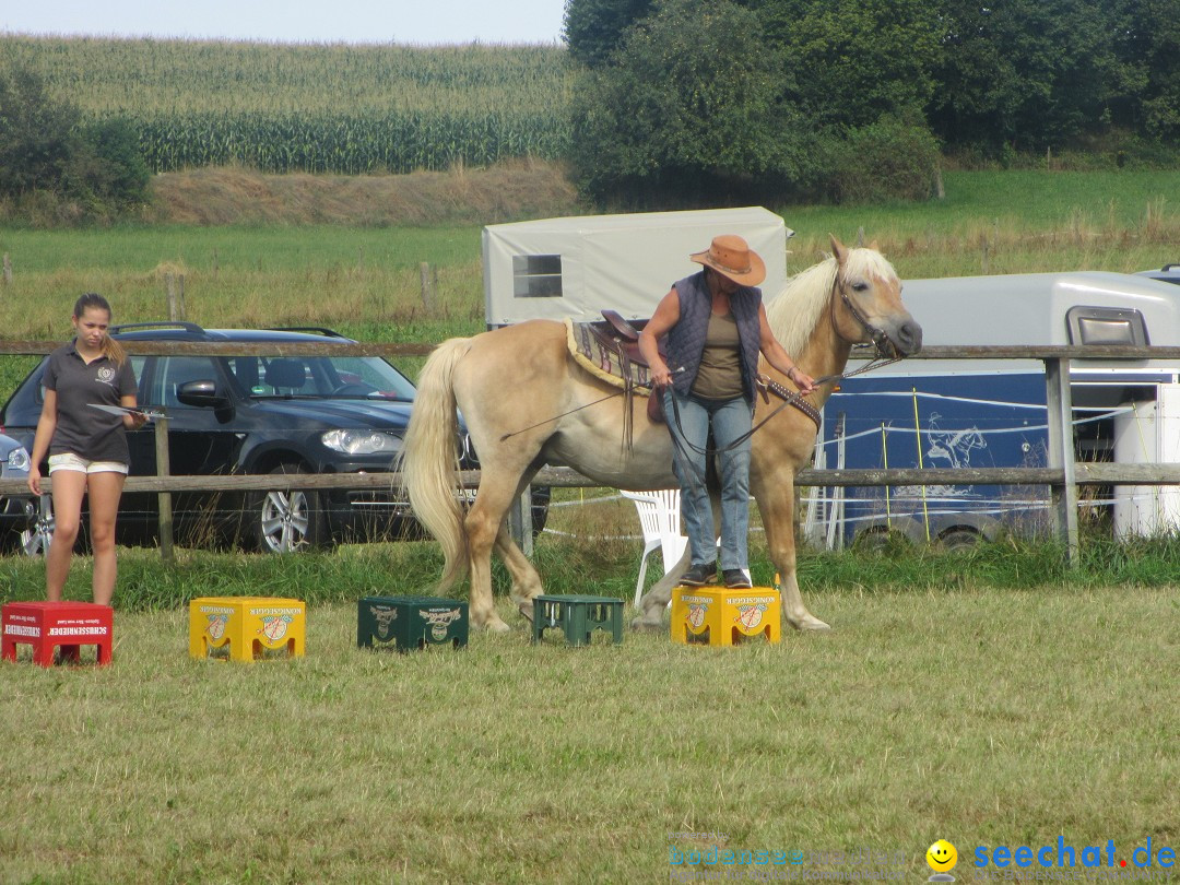 Westernreiter D-Turnier: Aach-Linz am Bodensee, 18.08.2013