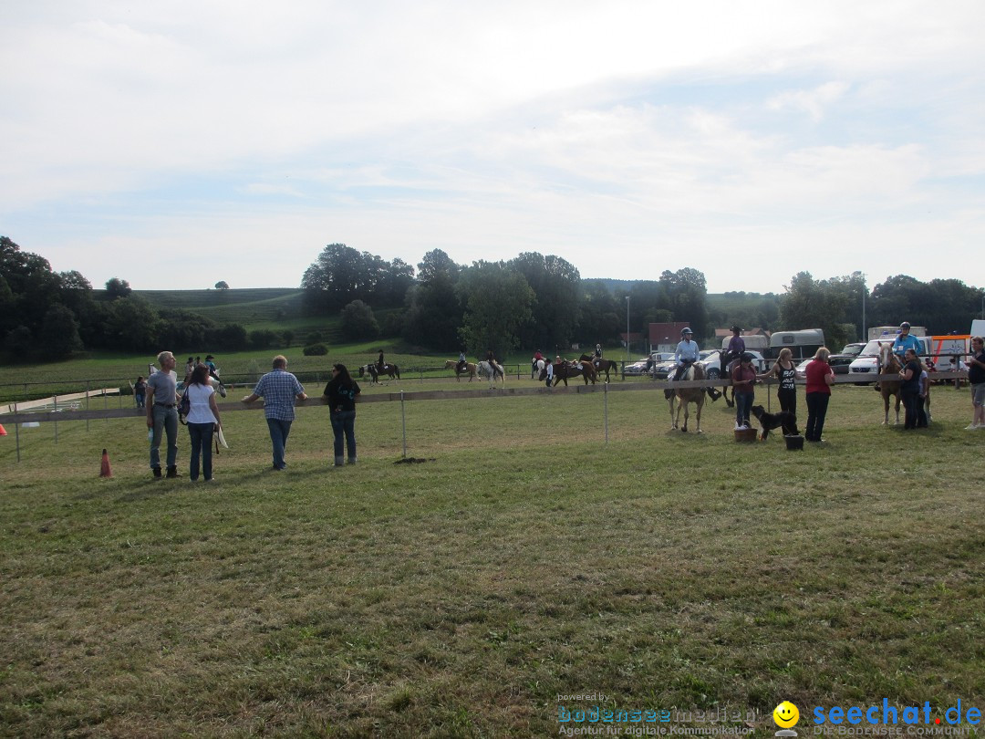 Westernreiter D-Turnier: Aach-Linz am Bodensee, 18.08.2013