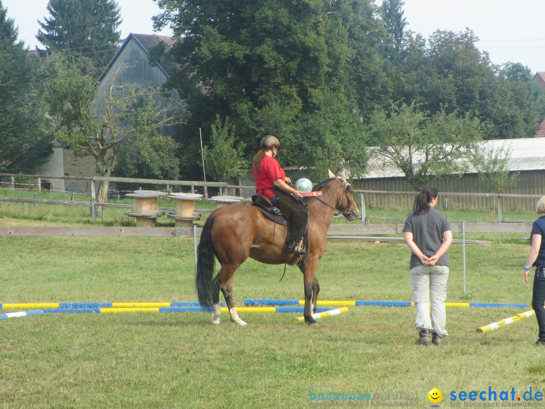 Westernreiter D-Turnier: Aach-Linz am Bodensee, 18.08.2013