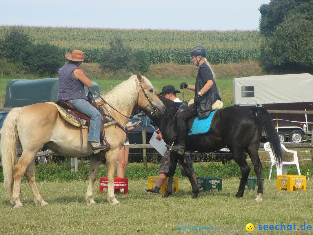 Westernreiter D-Turnier: Aach-Linz am Bodensee, 18.08.2013