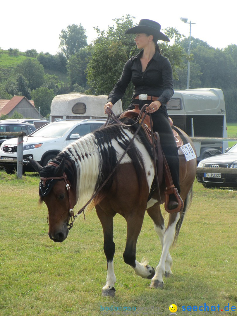 Westernreiter D-Turnier: Aach-Linz am Bodensee, 18.08.2013