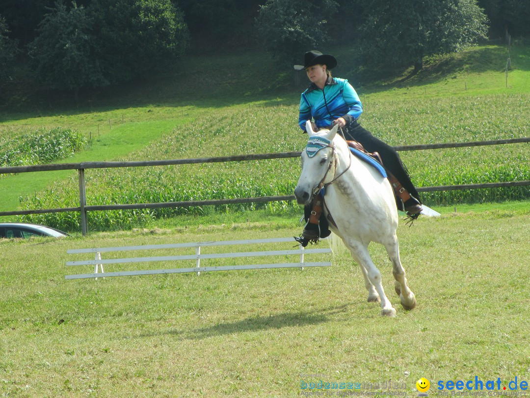 Westernreiter D-Turnier: Aach-Linz am Bodensee, 18.08.2013